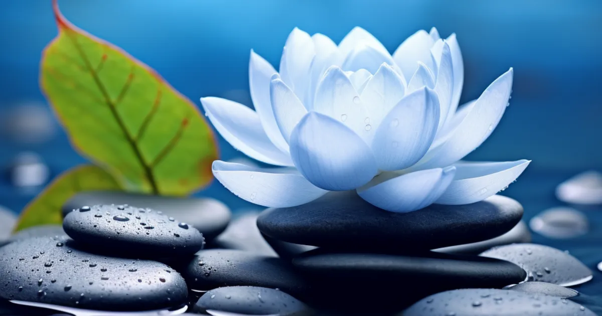 4 Powerful Mindset Systems: Reset Your Focus and Energy Fast