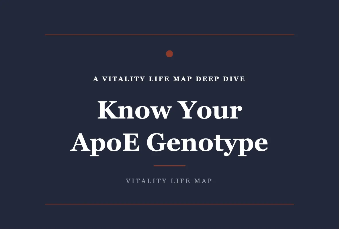 ApoE4 and menopause: what your genotype means for brain health